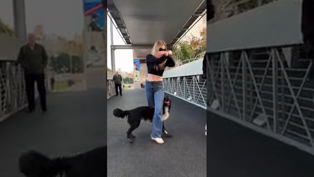 Веселая парочка