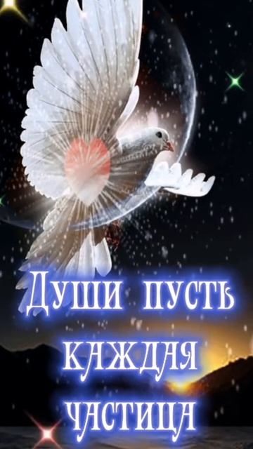 С Прощеным воскресеньем.