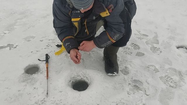 Поимки форели!!!