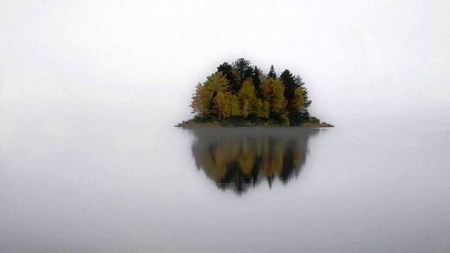 Тиха вода (Зинаида Миркина)