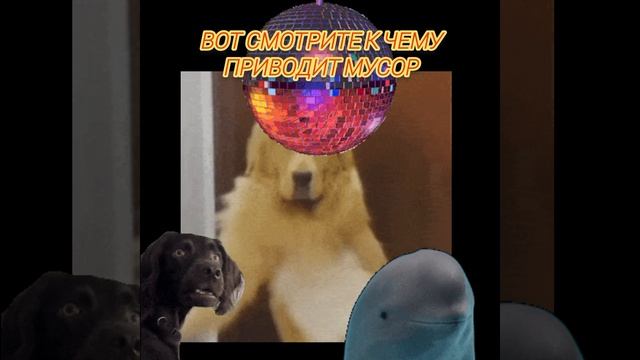 не мусорите пожалуйста