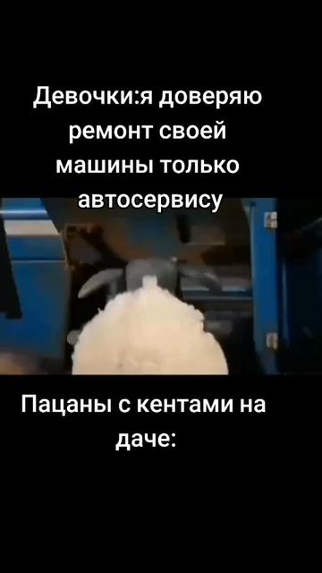 мемы