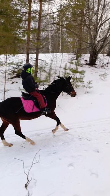 Флейта галопом влетает в горку с Лерой. #kskcasper, #лошади, #pony, #horse