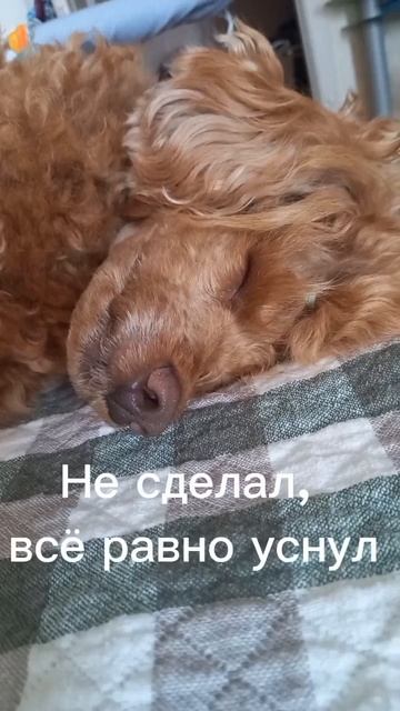 Да хоть отбойным молотком