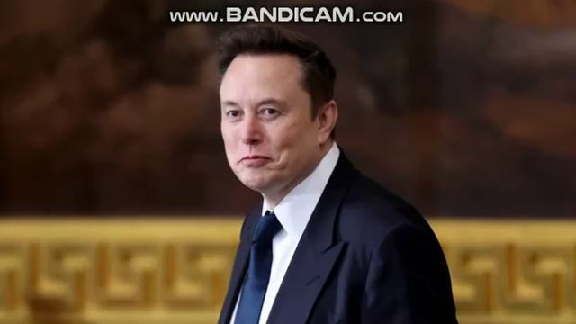Маск сделал новое заявление о Зеленском
