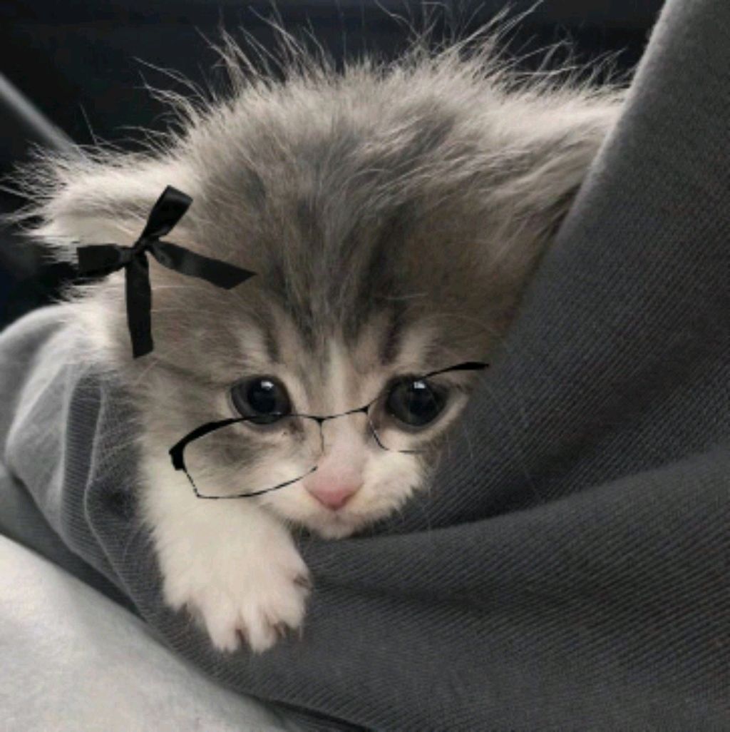 хс
