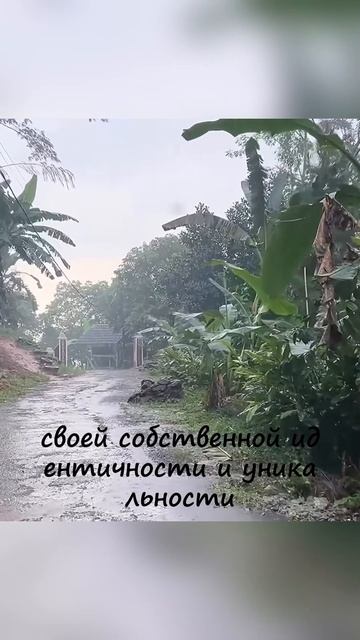 Взгляд внутрь себя