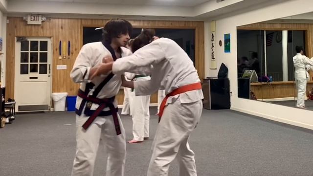 The Naihanchi Project - Elbow Strike Live Application