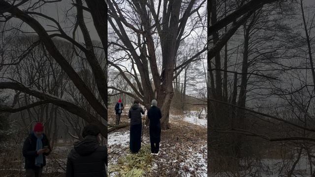 Видео документация перформанса "Почетный гражданин леса"