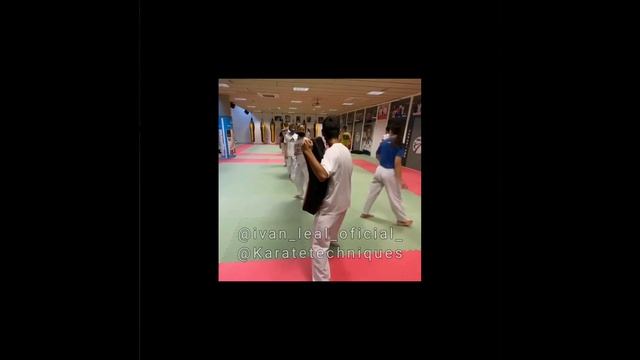 Kumite Karate Techniques 2021 |Training with World Karate Champion Coach