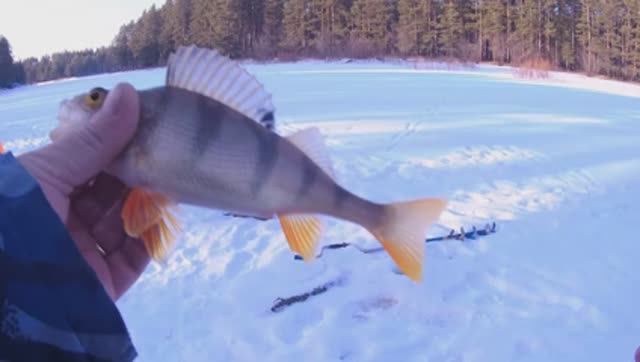 На весеннюю рыбалку!!!