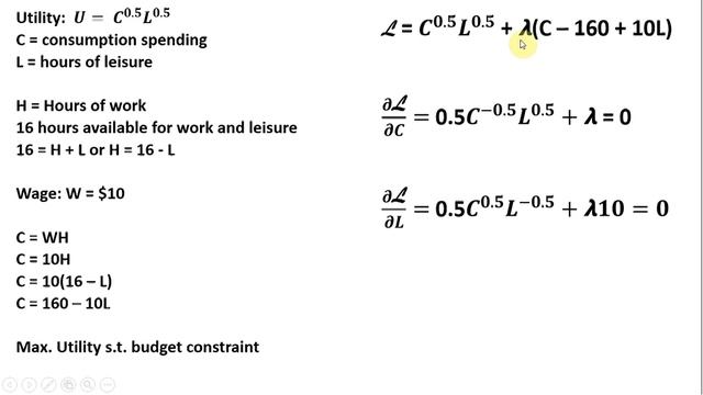 Lagrangian: Labor-Leisure Choice Model
