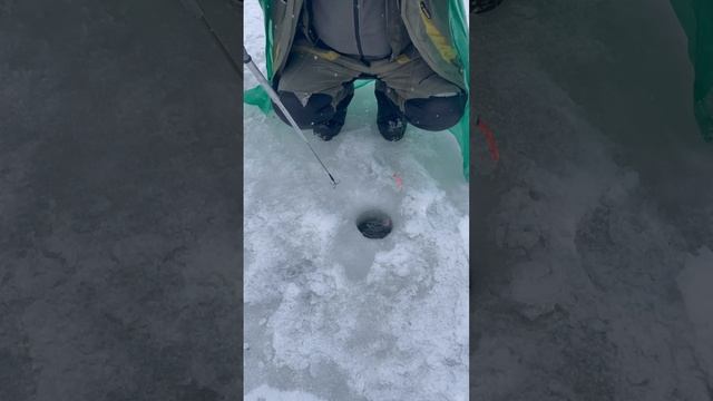 1000031136.mp4