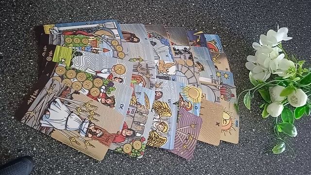 VID_20250302_145750.mp4