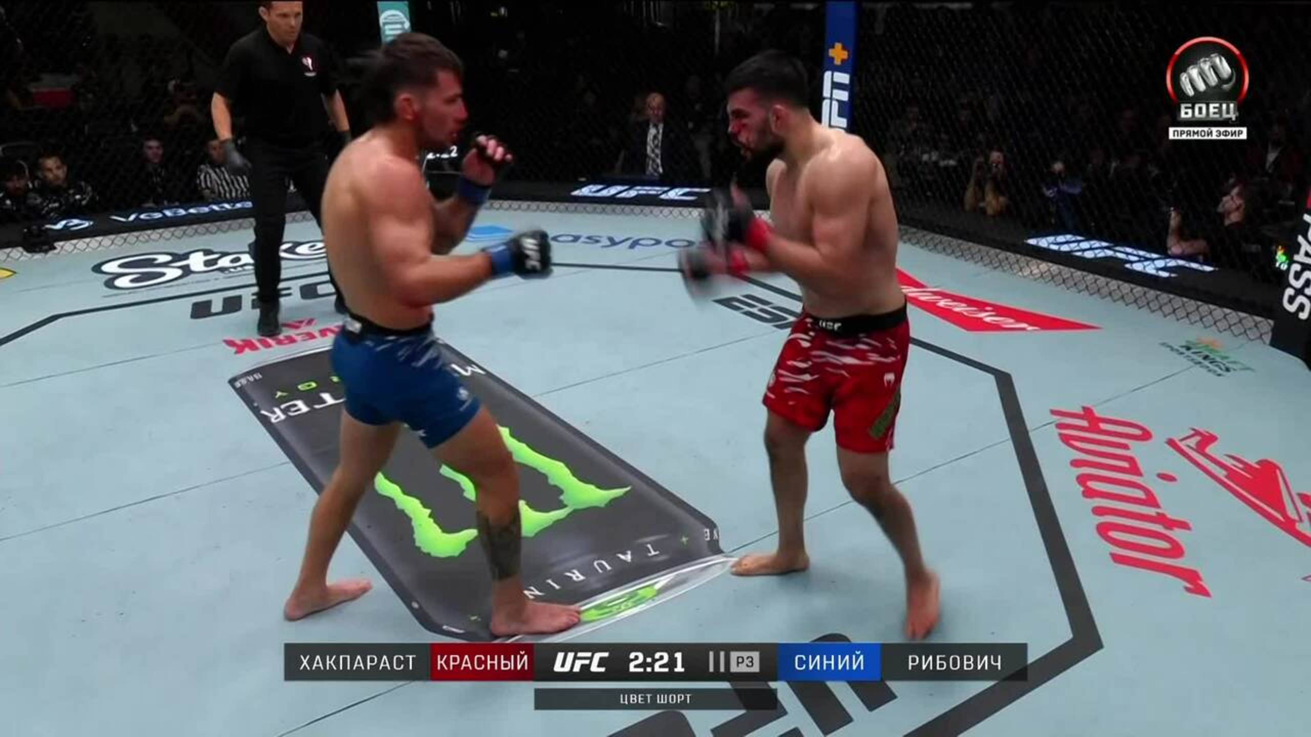 Насрат Хакпараст победил Эстебана Рибовича (видео). UFC Fight Night