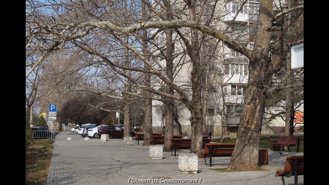 Севастополь 1 марта 2025