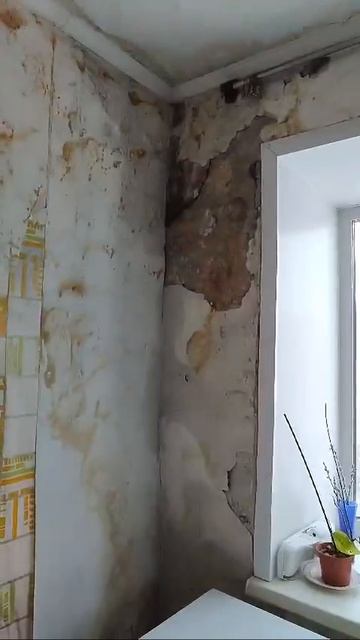 Последствия протекания крыши в барнаульском доме