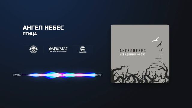 АНГЕЛ НЕБЕС - ПТИЦА