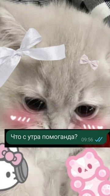 Бесим лп😈😈😈😈😈
