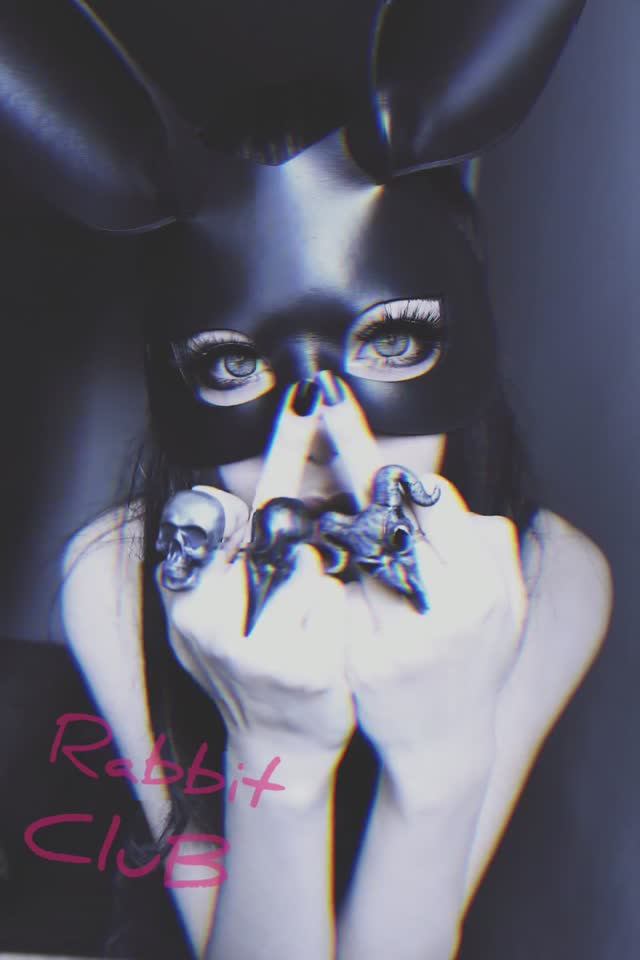 Rabbit club