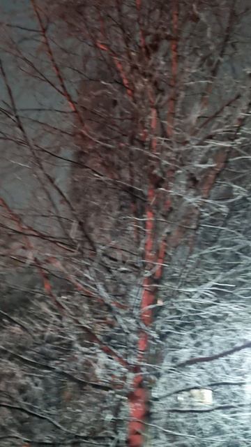 Крещение.2025