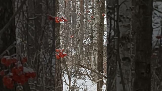 1000153682.mp4