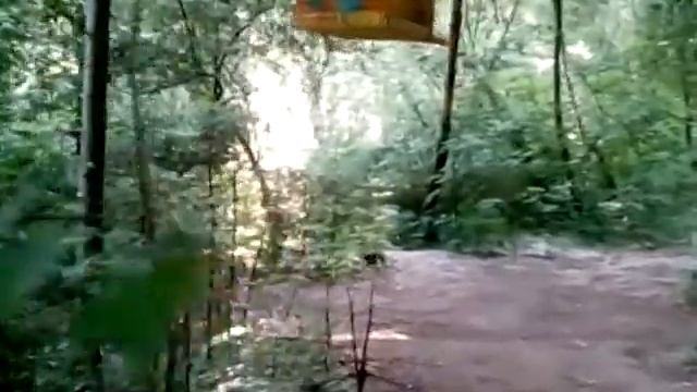 Наша  прогулка в парке им. К С. М.Кирова г. Ижевск.
