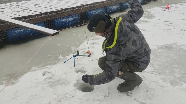 Поимки форели!!!