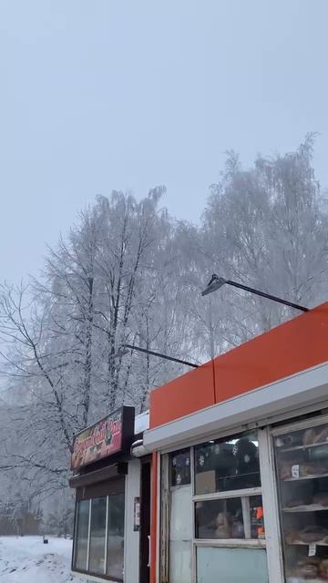 Vanilla girl  заморозились деревья