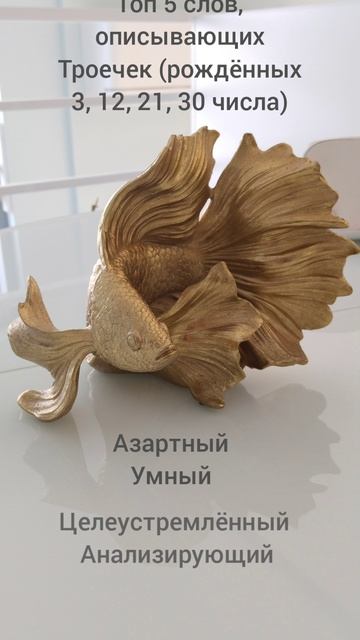Топ 5 слов, описывающих Троечек