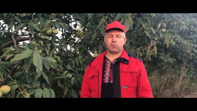 №71  Пам'ять Пасеки колекція сортів ТВІЙ ГОРІХ 2018, Юкал І І