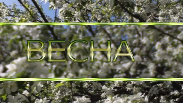 Интро весна