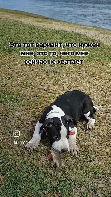 как дети