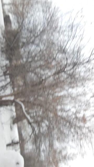 pov как вам?