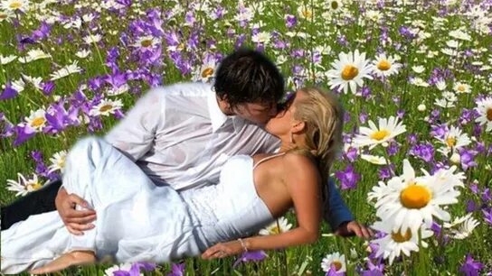 Любовь в поле ромашек 🌼💖