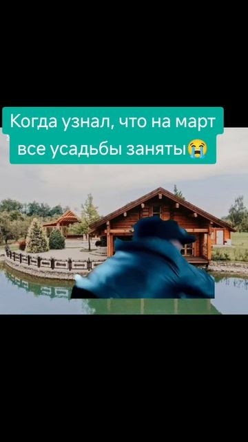 ДОСАДА для многих белорусов!(