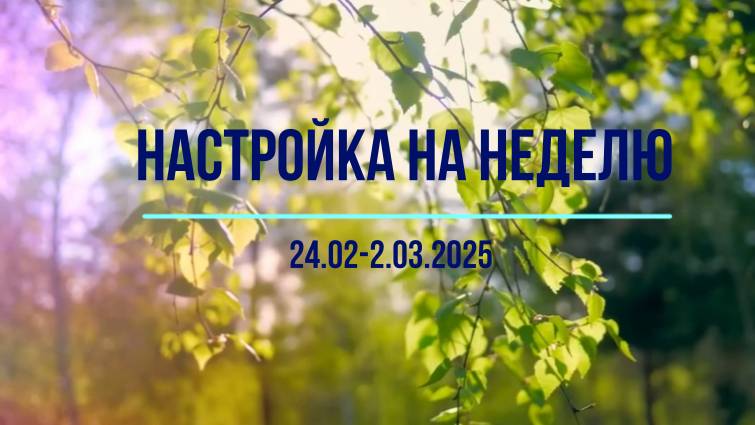 Настройка на неделю 24.02-2.03.2025 #психология #осознанность