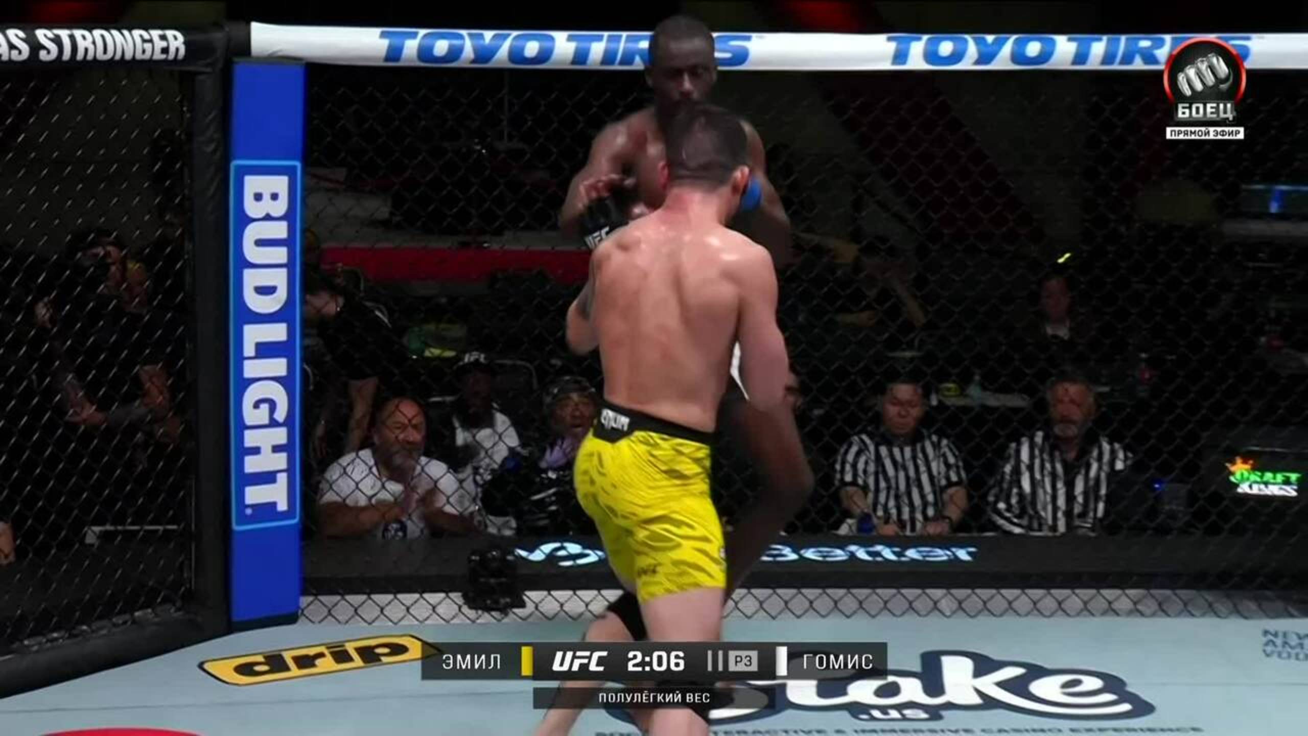 Хайдер Эмил победил Уилльяма Гомиса (видео). UFC Fight Night