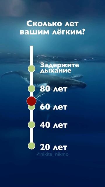 А у вас получилось дойти до 20?