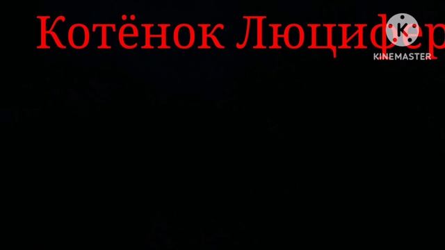 Новая заставочка перед видео