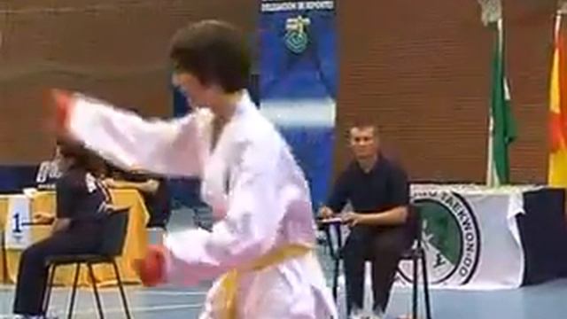 Open Taekwondo