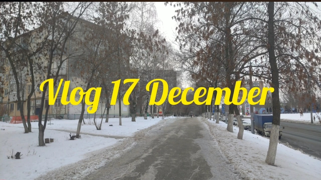 VLOG Viki 17 декабря
