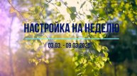 Настройка на неделю 3.03-9.03.2025 #психология #осознанность