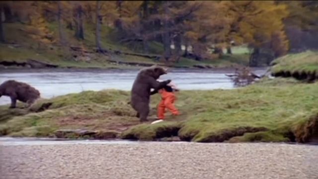 Man Fighting Bear for Tastiest most tender Salmon TV Commercial John West | 2000's UK TV ADVERT