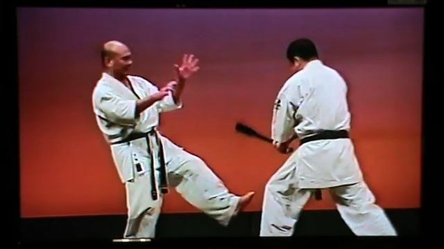 Shimoji Yasuo 9 dan Uechi ryu Shimoji ha / Sanseiryu kata/ tameshiwari