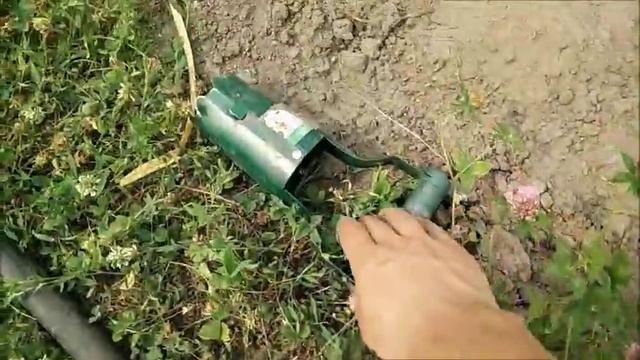 Посадка картофеля для второго урожая