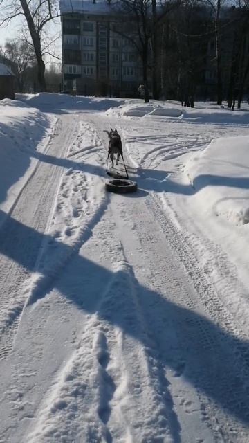РаЛьФ 02.03.2025.