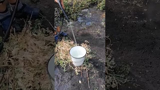 21 июля 2020 г.