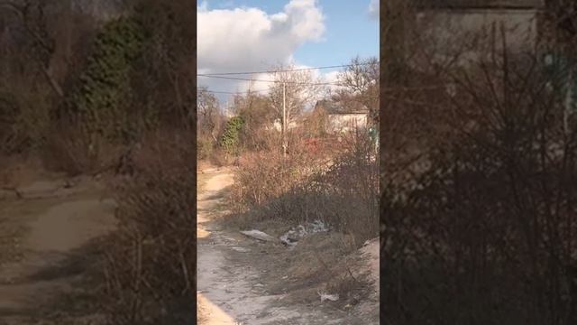 Участок в Севастополе