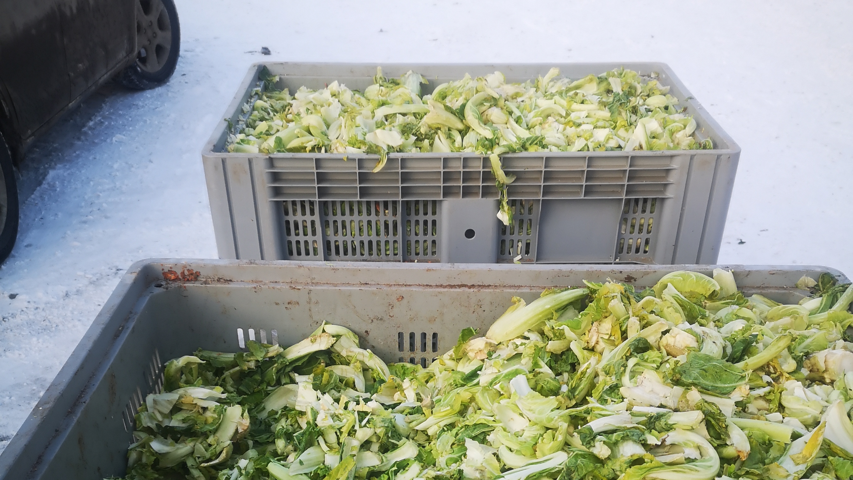 Комбикорм из Елани, овощерезка ЗУБР, бесплатные корма птице